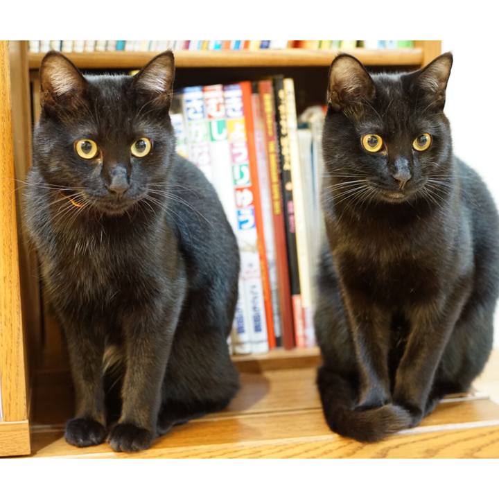 4215c791 60ef 450a b7dc eec39f3df092 1520466383990