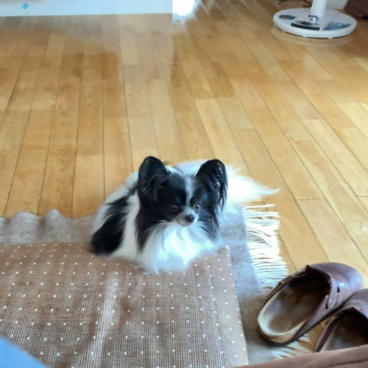 4215dede a240 42e5 b664 3be978871413 1566029825157