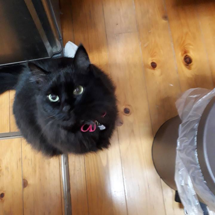 4215ea43 0d01 4f32 8362 c57fdd841c10 1517254141144