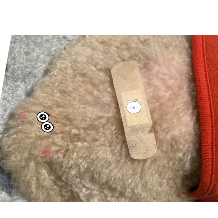 421647e1 7b87 4580 91d7 29afa8ba580b 1618635741173