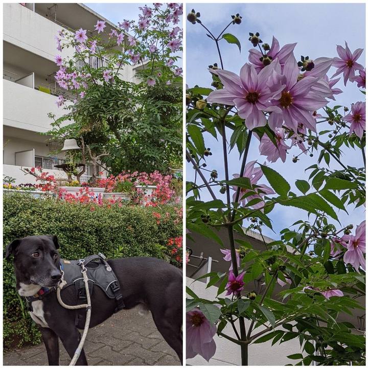 42164f79 16ff 4732 ac13 bc264fdfd65c 1638270198261