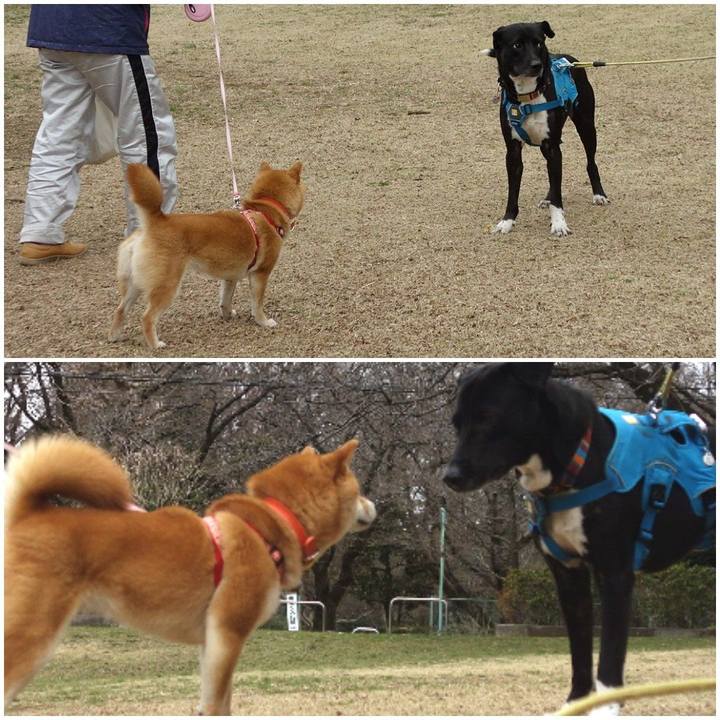 421688b0 1a91 4efe 8f9b 866be3226af6 1615077333794