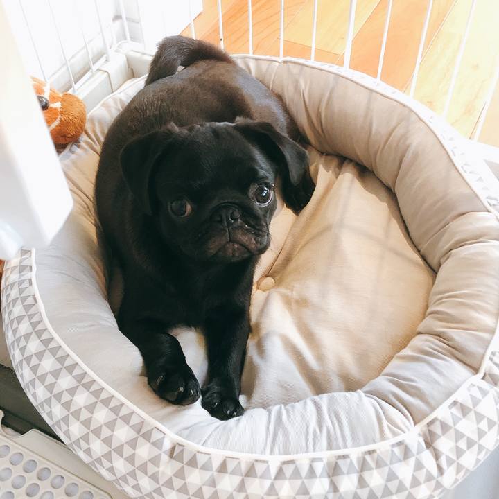 4216e1b7 7d21 485e aeaa e90a6d17511d 1592105453987