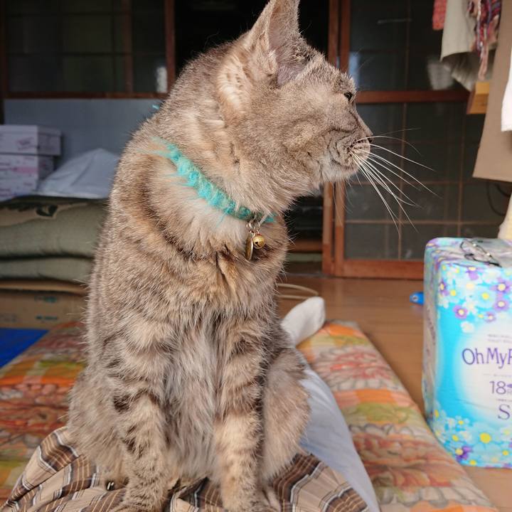 4216f6ec 7ff3 498c 971b eaf80d54d90e 1573280383394