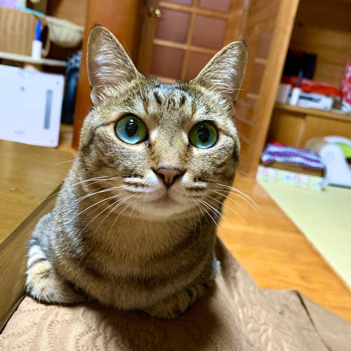 4216fad7 d9cd 4c86 b964 f6bec999150b 1586526260715