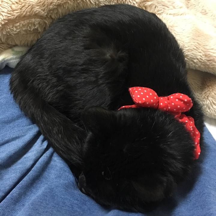 421719b7 4598 4c5b bcf8 9a6bace54d80 1551525198267