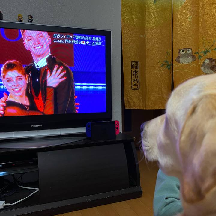 42172c88 e65b 4ae8 b5dd 351c34e8a26e 1618753244253