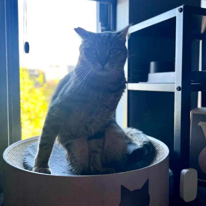 4217a737 18fd 4143 9040 ca4edf04bba8 1761737239677