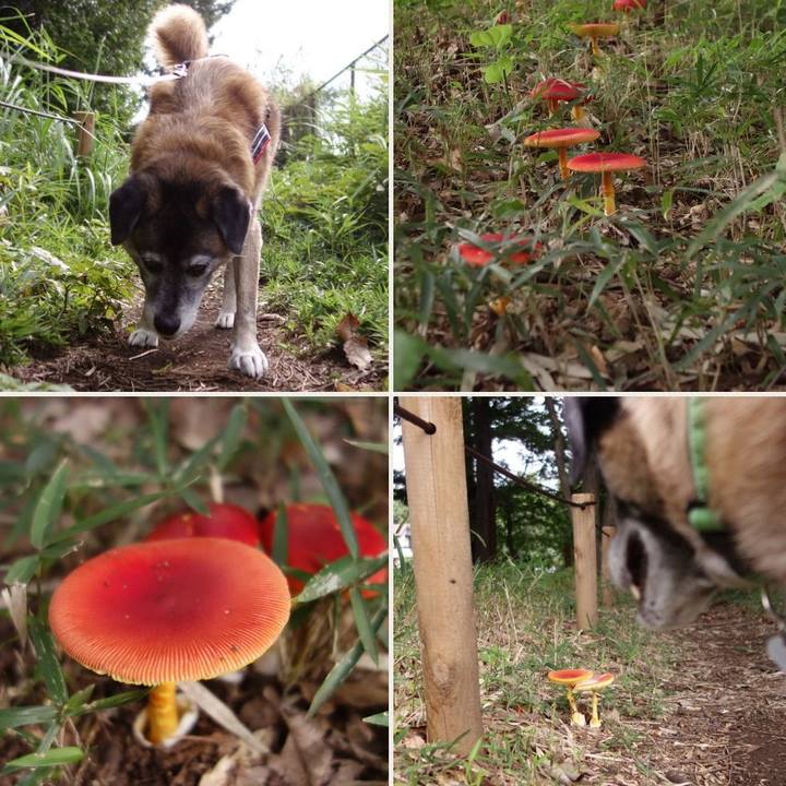 4217ae4f 2997 4897 b718 5ddfc6c577ba 1537749686074