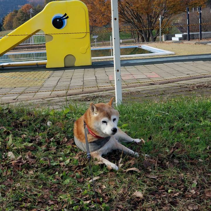 4217ba64 3624 42a4 8ea6 d76cb6c917d7 1732079100514