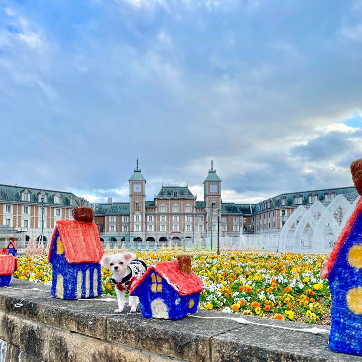 4217d666 86b3 47c4 bf6d 0483731ce028 1637654101070