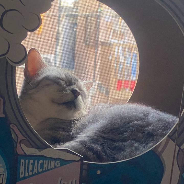 4217d6e6 fcec 4ed6 b6e9 d01aa56fcff3 1758116981636