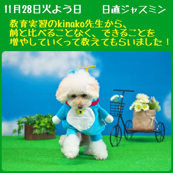 4217e844 1b40 414b b088 d848a3adc254 1511842473482