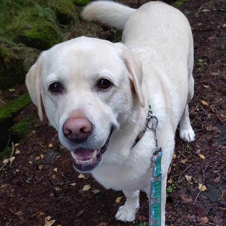 4217eefc bc07 43cb 8659 a019f2cf5d5f 1662722853286