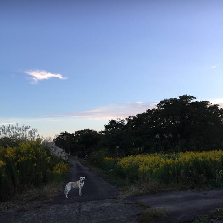 4217f054 c565 425d b6f2 67b735fcc109 1549448350351