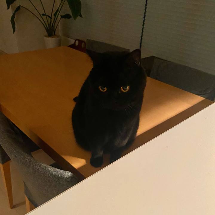 42182642 b248 457d bf13 a505f2167696 1729081734712