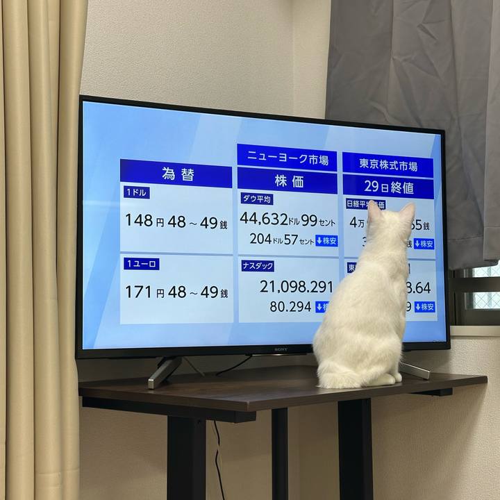 421833a8 c80e 4687 b798 e7293a1ce828 1753829253345