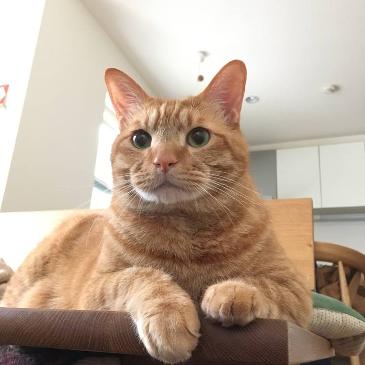 42186220 0d0b 4b9f 9fbf 3f7d79d3bb6d 1589272748296