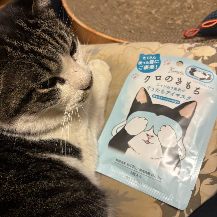 4218766d f5bc 4f27 980f cd645051df74 1740825618880