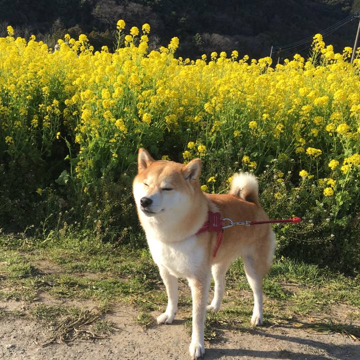 4218872c f722 483c 8593 4c9da64b8fc4 1552900924031