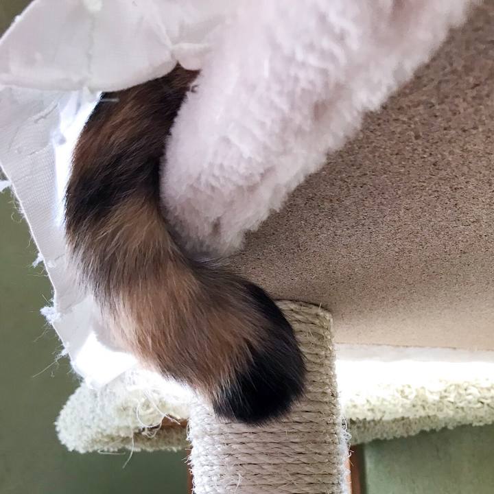 42188cd9 3be8 446c 8959 e9fd0f70e13b 1524912071209