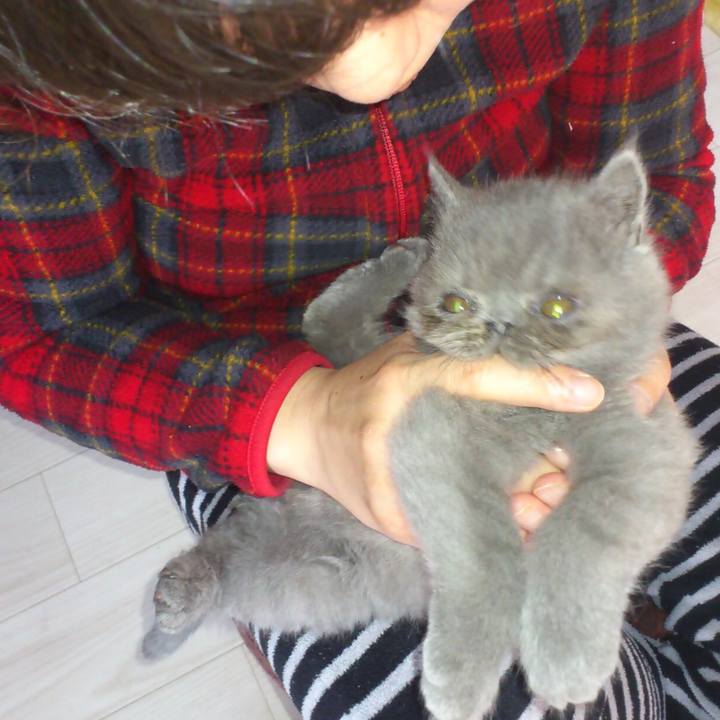 4218950d 3eee 4644 a0ac ffcb2308b8ce 1512988875397