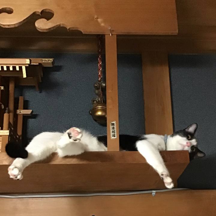 4218a997 6d24 4067 aa6b 66069e25eab3 1661944949963