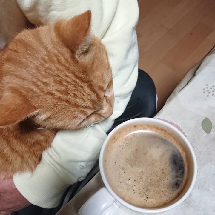 4218adbd 030d 4c1d 9d6b 7493e1c23505 1603223357454