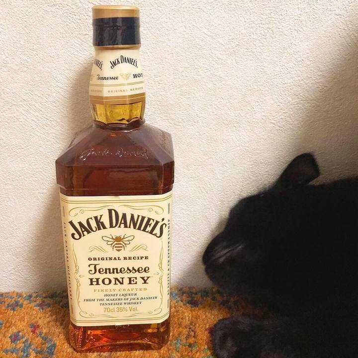 4218c894 1b44 4098 a1af 4b98c6590205 1542239890616