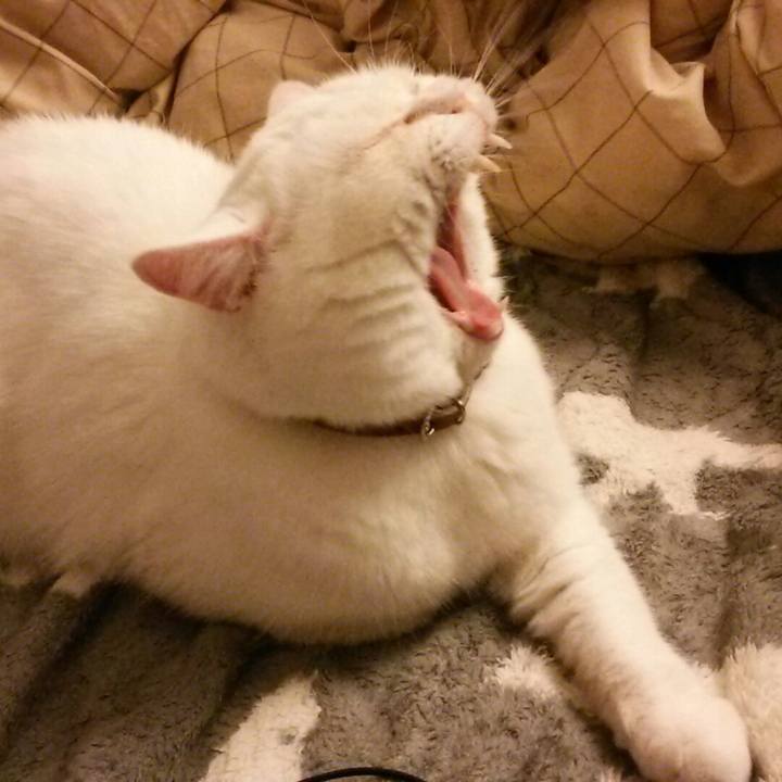 4218e774 8ee6 4385 89a5 547cc24fef06 1527591391939