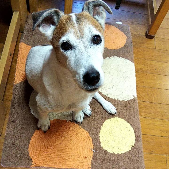 4218ef46 4153 4065 b506 cc189b445329 1565302587407