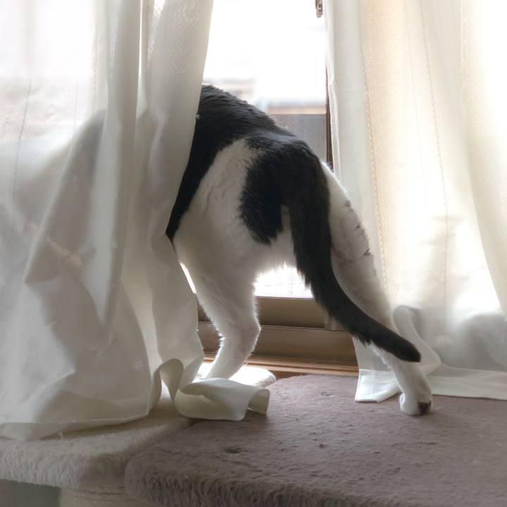 421904fc fe48 45bb a673 aa45bad26fa5 1558317787143