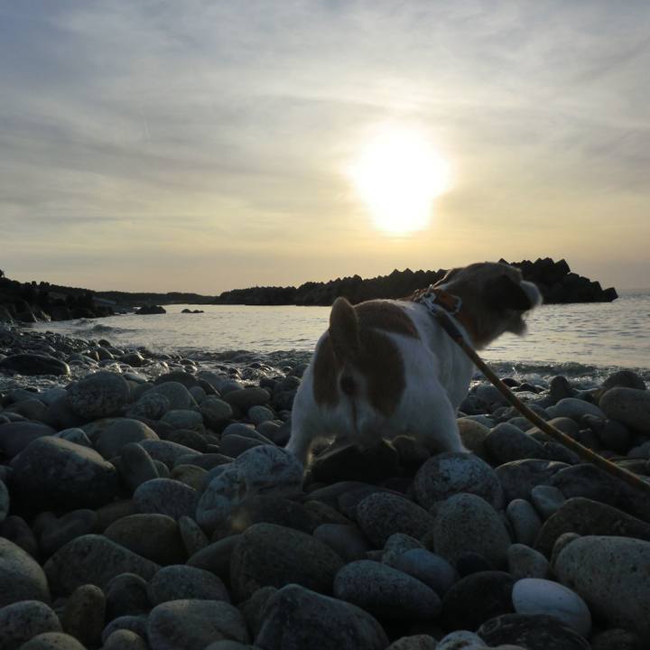 42195108 84a8 4c87 82e6 7fb4e9304264 1552132806903