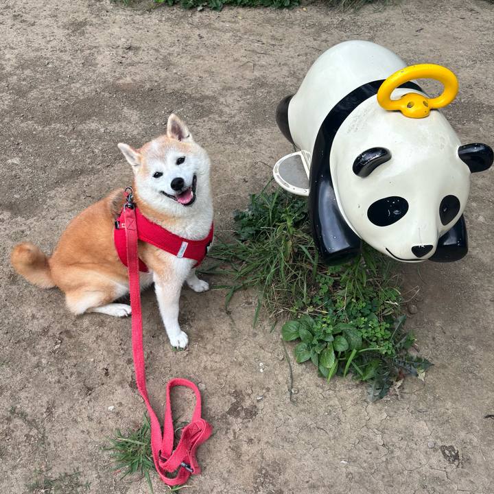 42197463 84e5 4640 a0d8 35fd8af570c8 1753997208642