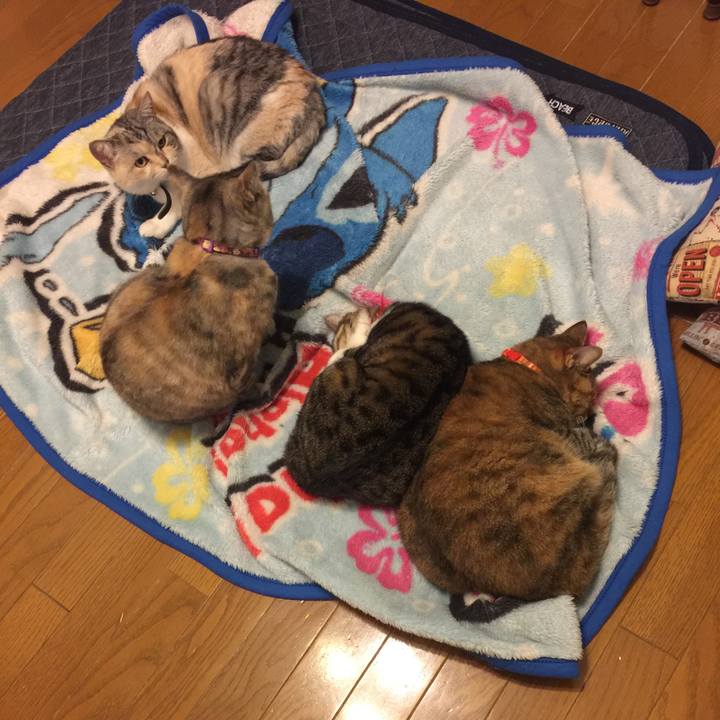 4219a887 ffe2 43b0 b340 bb2332744a96 1552731922991