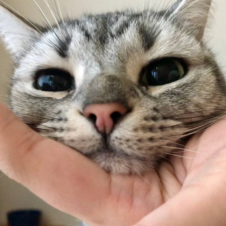 4219c866 a05e 442c 807e 68044ce37906 1544740882043