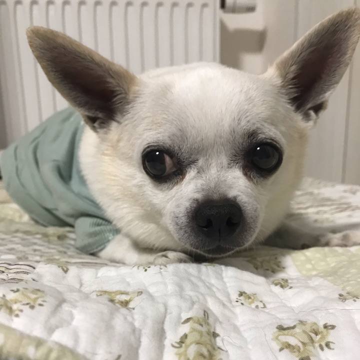 421a30e4 c870 4f5e 9a1e 2b1bb971c795 1648098424872