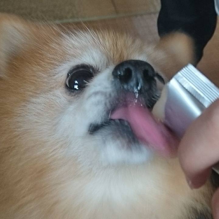 421a34f9 0358 42b6 a51a f39f085f847b 1541459987046