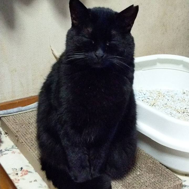 421a5627 479e 4ab9 9f2d 72c8ed5a0f2f 1612871835932