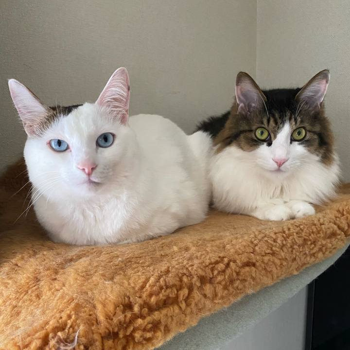 421a678c 22c3 48aa af47 852680ef5c50 1693279805129