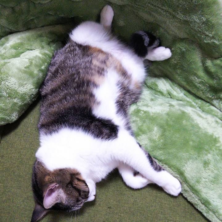 421a7663 896d 417d 98de b4c2f19e079e 1635670589149