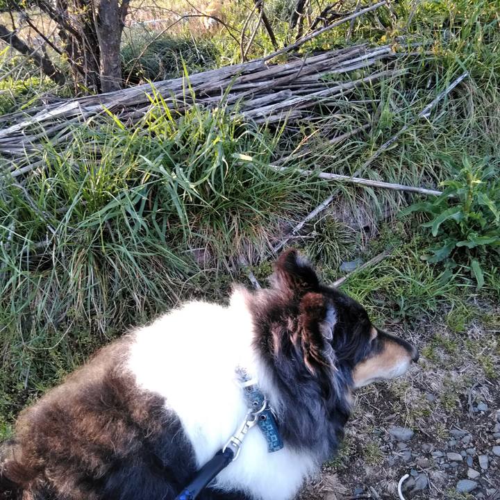 421a895d 89b5 44b6 924c 65bbd43803f4 1555071596042