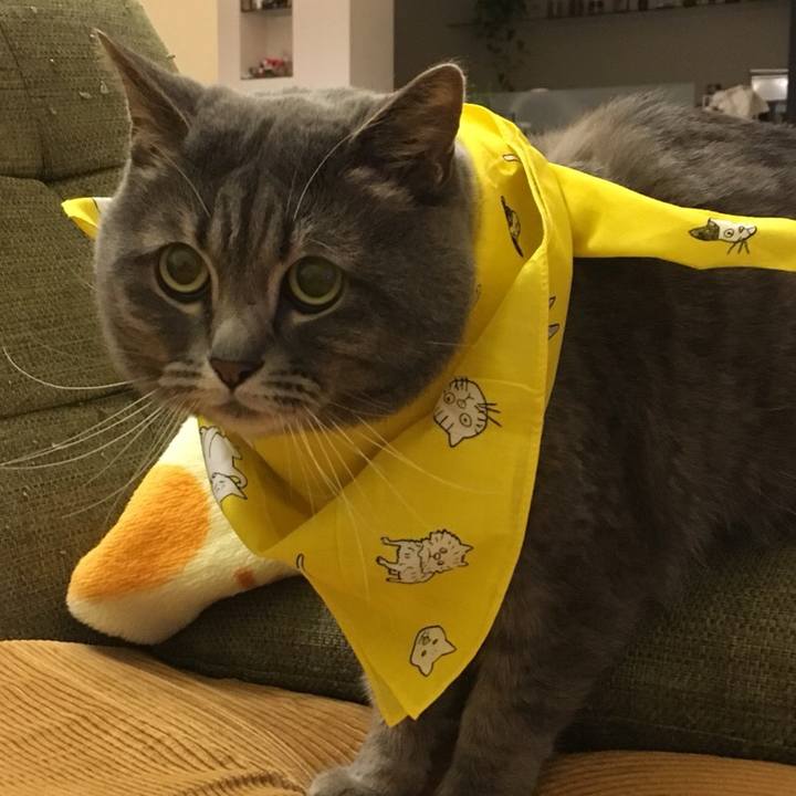 421a9885 55db 4cbe 80da 8c992c4769d9 1563644099013