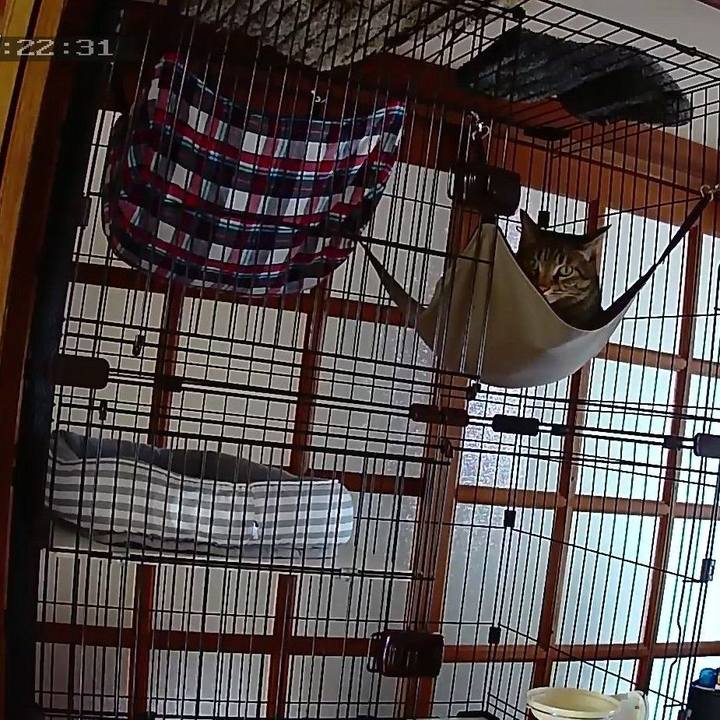 421af606 22ed 4c81 8b54 c8d1e2fb93d1 1564035836177