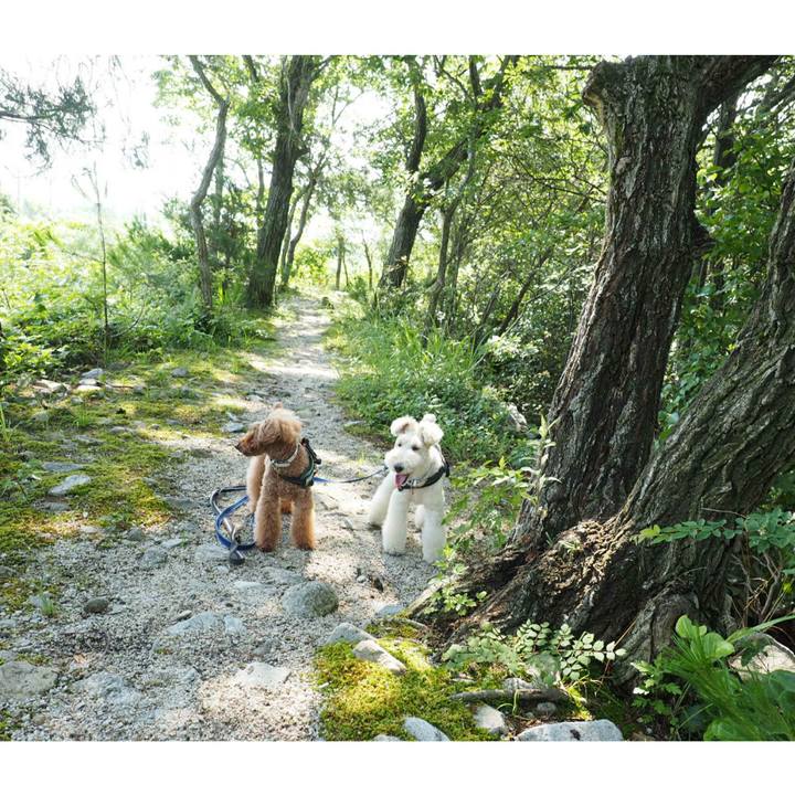 421b0dd2 f477 494c 974c 10567c141cb0 1529820663779