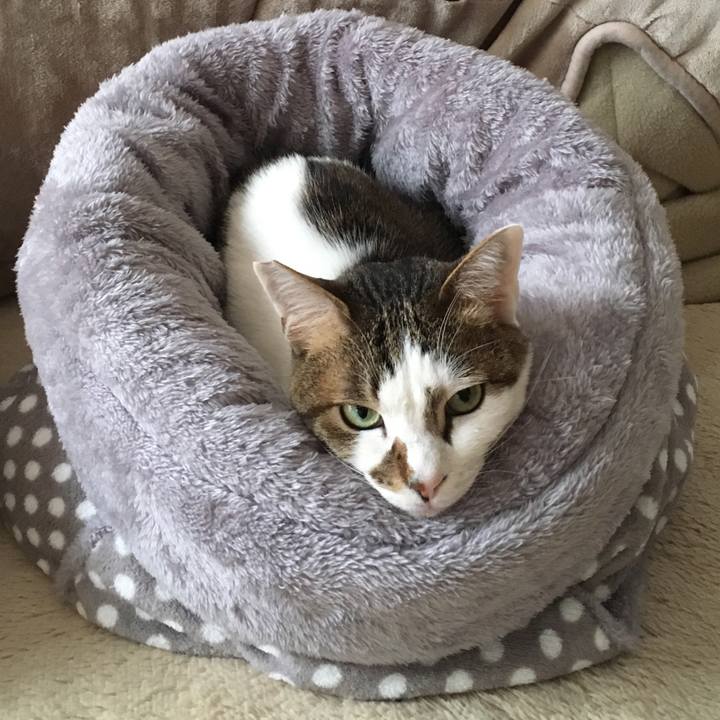 421b5536 d572 4987 aad9 e3210e88c719 1519808634783