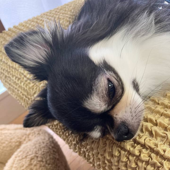 421b76b1 98c8 4c8e 8383 524e4a7cffff 1654933118415