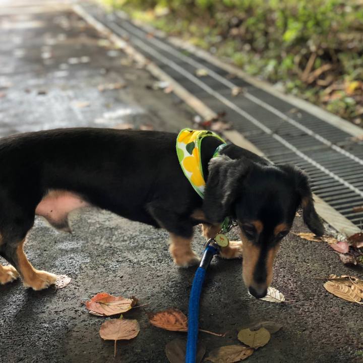 421b867e fd46 4303 9753 428a849442b8 1534922401648