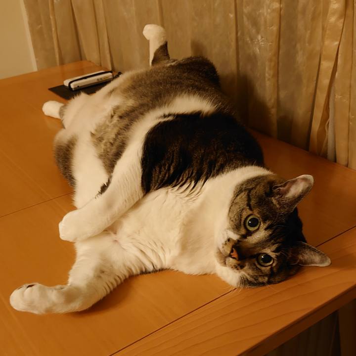 421c09a7 bee3 4df5 ab8e e1d73b4704d8 1620728019379