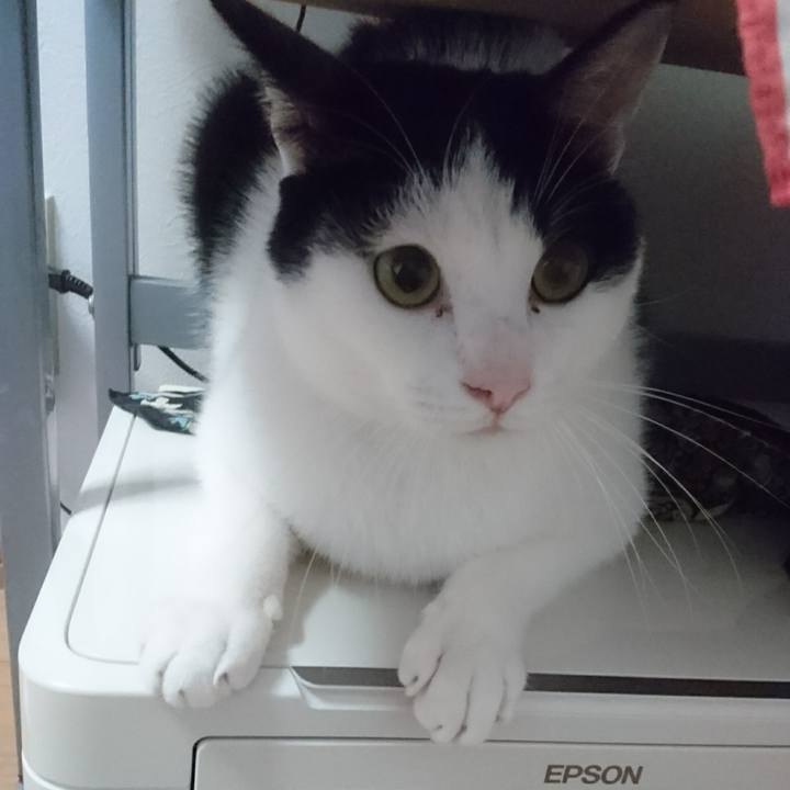 421c4bd0 bfab 42b8 a90f 458b70fbeaea 1519471041828